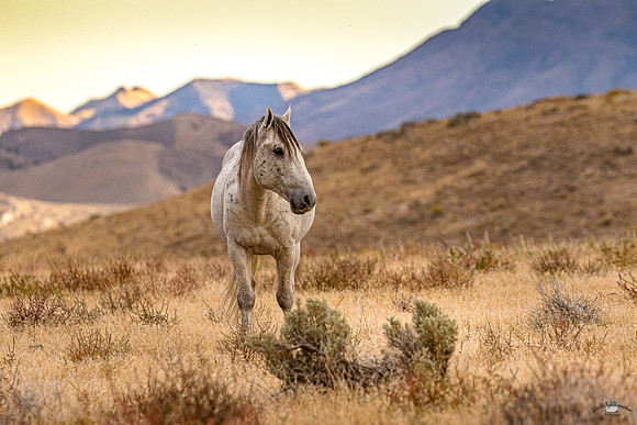 UtahPhotography-70