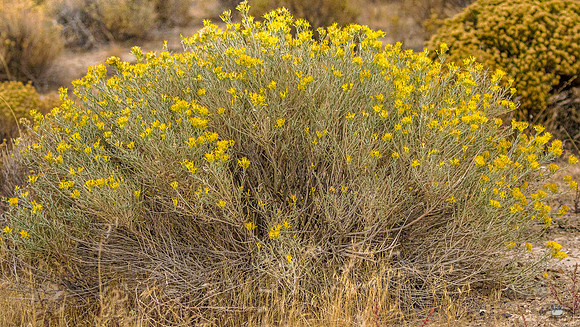 UtahPhotography-73