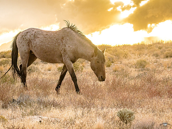 UtahPhotography-75