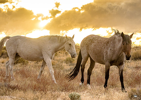 UtahPhotography-76
