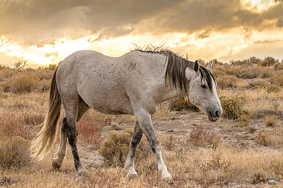 UtahPhotography-74