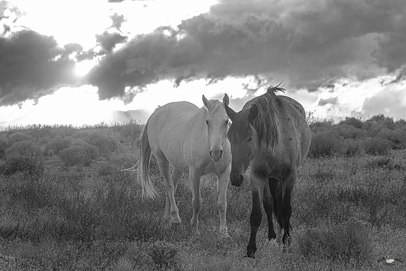 UtahPhotography-78