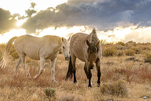 UtahPhotography-77