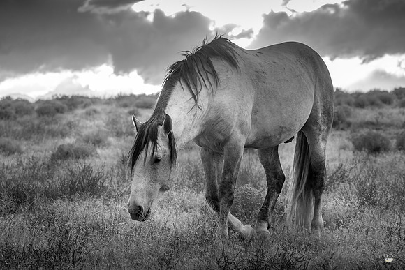 UtahPhotography-80