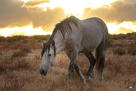 UtahPhotography-79