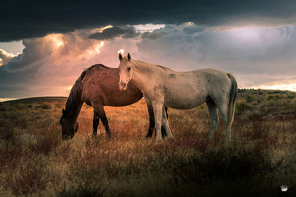 UtahPhotography-82