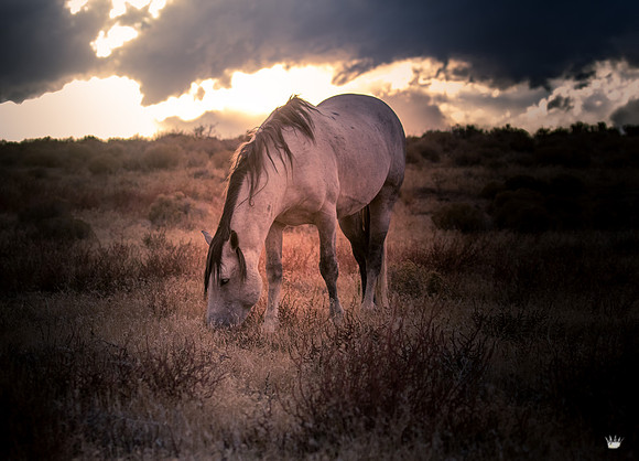 UtahPhotography-83