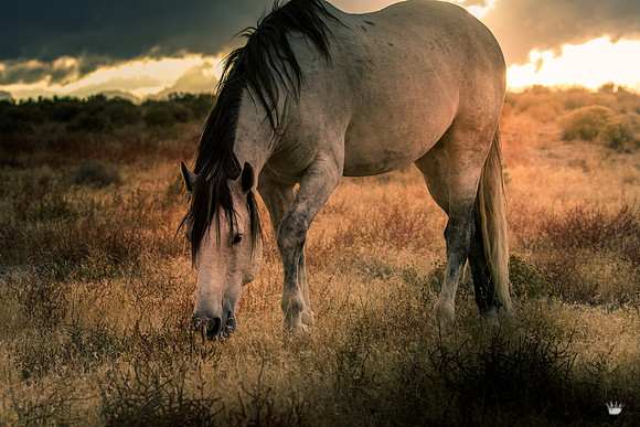 UtahPhotography-81