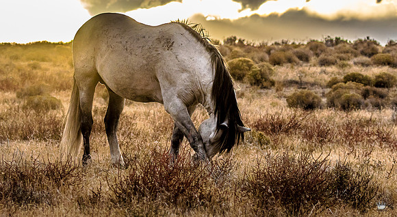 UtahPhotography-85