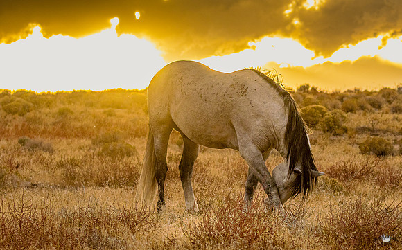 UtahPhotography-84