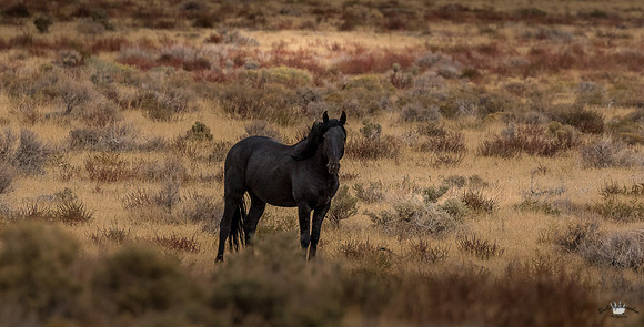 UtahPhotography-9