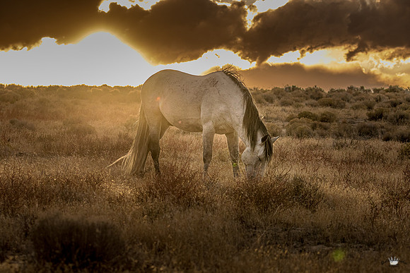 UtahPhotography-86