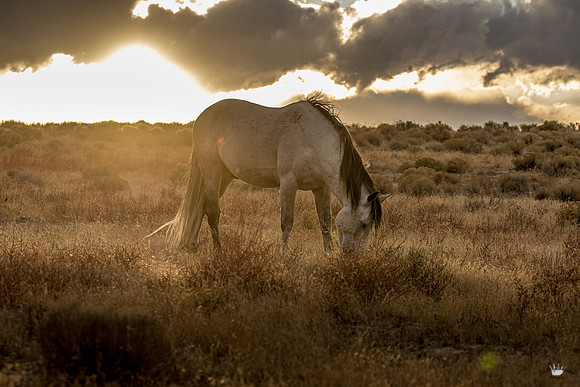UtahPhotography-87