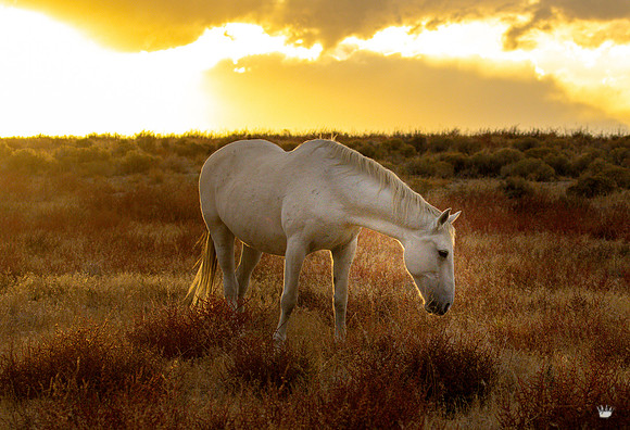 UtahPhotography-89