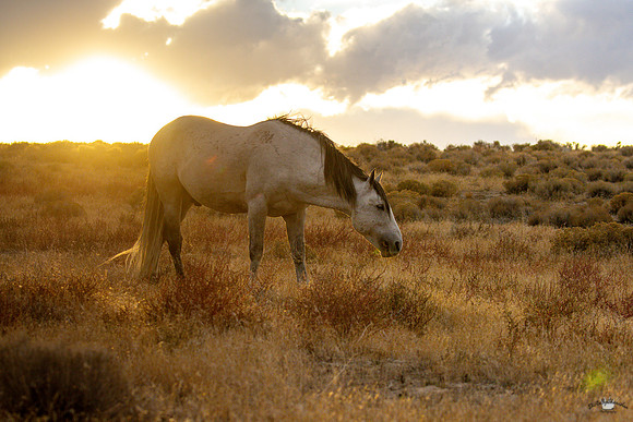 UtahPhotography-88