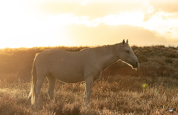 UtahPhotography-92