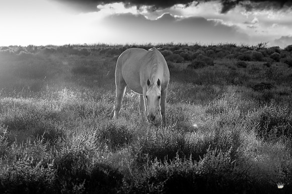 UtahPhotography-93