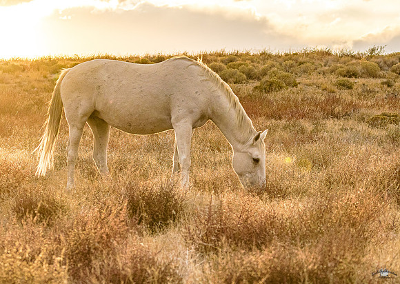 UtahPhotography-90