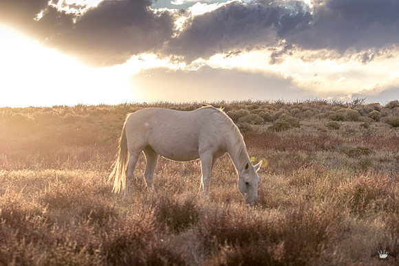 UtahPhotography-91