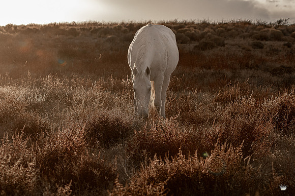 UtahPhotography-94