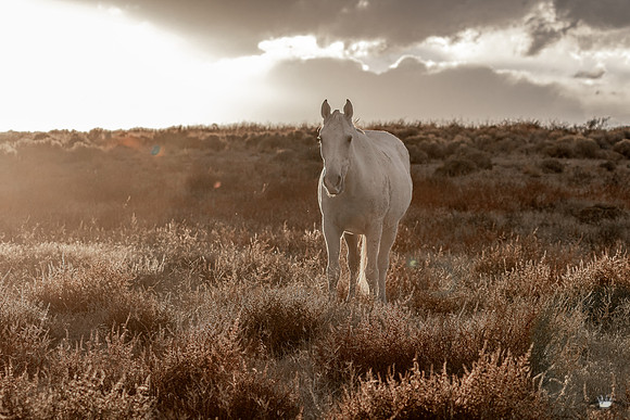 UtahPhotography-95