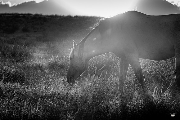 UtahPhotography-99