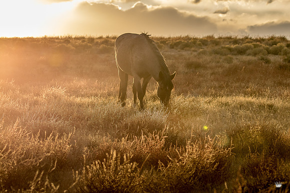 UtahPhotography-97