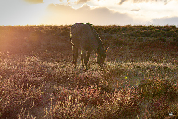 UtahPhotography-96