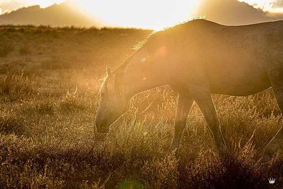 UtahPhotography-98
