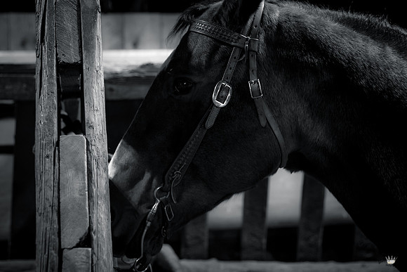 UtahPhotography-109