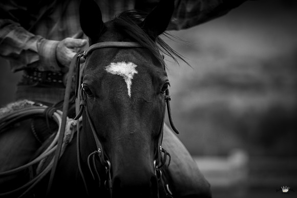 UtahPhotography-126