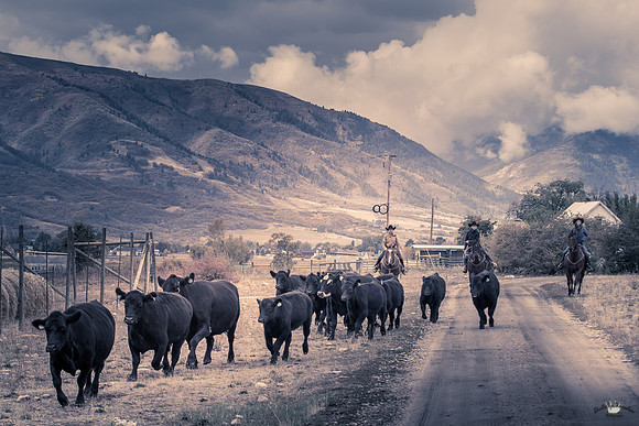 UtahPhotography-132