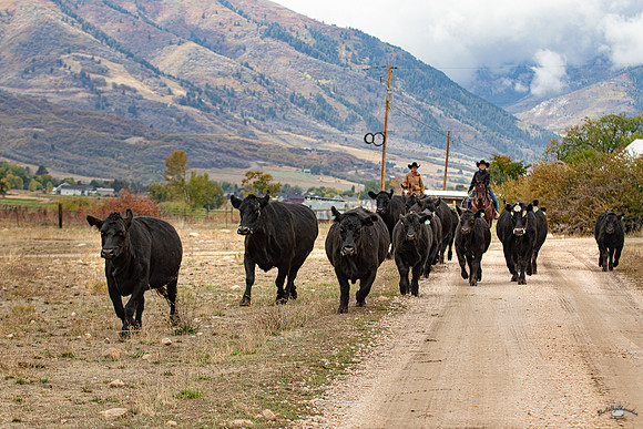 UtahPhotography-131