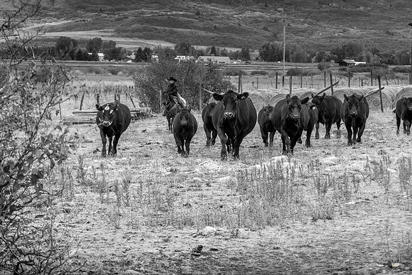 UtahPhotography-134