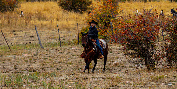 UtahPhotography-138