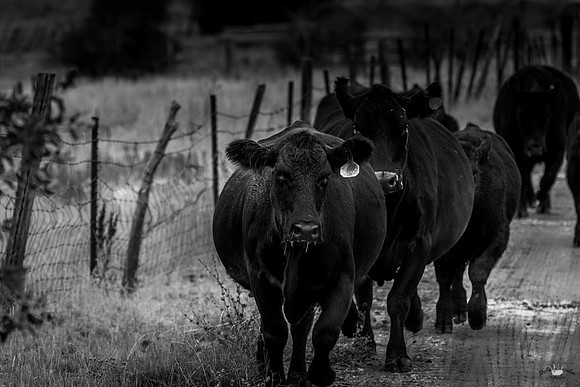 UtahPhotography-148