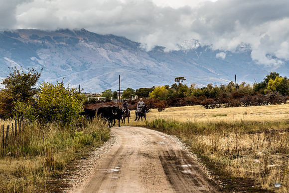 UtahPhotography-154
