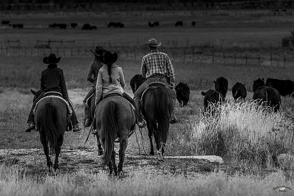UtahPhotography-159