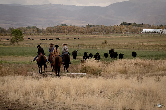 UtahPhotography-160
