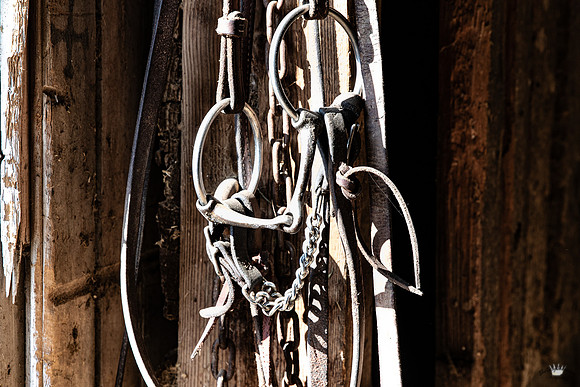 UtahPhotography-16