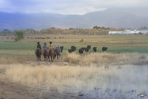 UtahPhotography-161