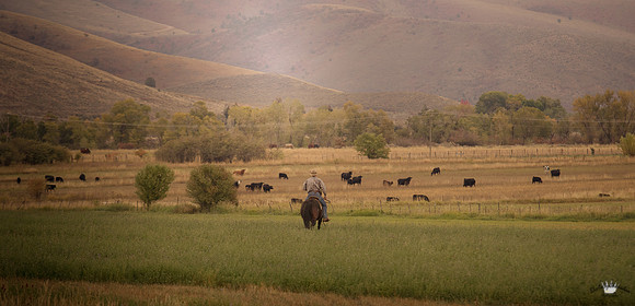 UtahPhotography-162