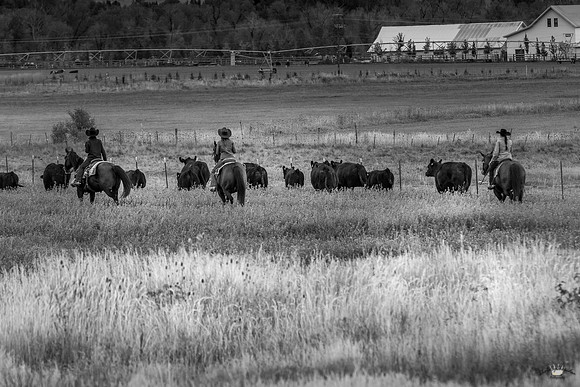 UtahPhotography-164