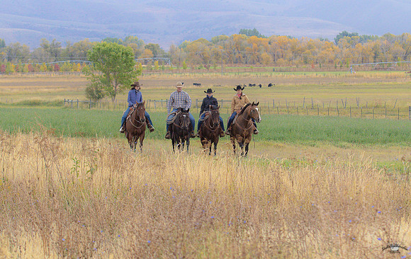 UtahPhotography-171