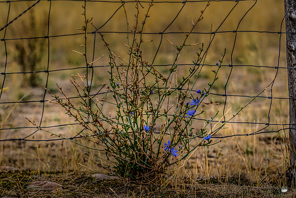 UtahPhotography-168