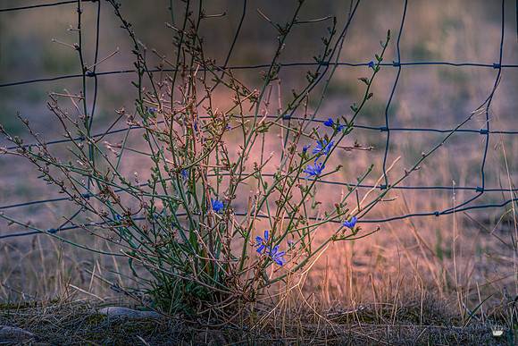 UtahPhotography-169