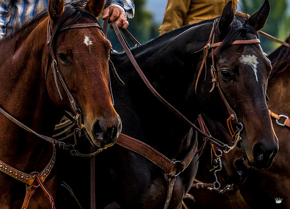 UtahPhotography-174