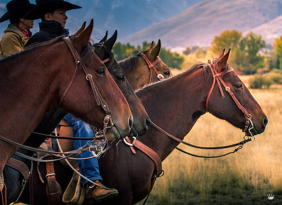UtahPhotography-177