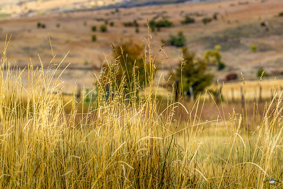 UtahPhotography-189