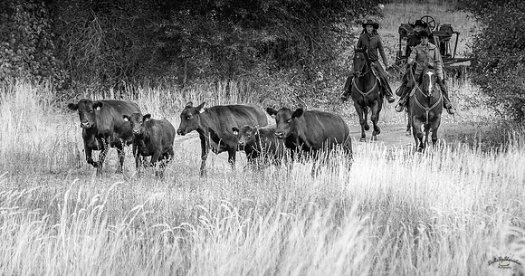 UtahPhotography-193